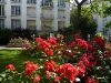 Place-Monge-Summer-Roses