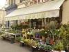 bvd-st-germain-flower-shop-800