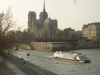 notre-dame-and-the-ile-de-la-cite-800