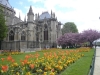 notre-dame-in-spring-01-800